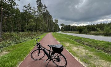 czarny rower na czerwonej ścieżce rowerowej, w oddali las